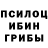 Галлюциногенные грибы мицелий Masz Ugsh