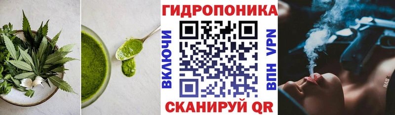 где продают наркотики  ссылка на мегу tor  Canna-Cookies марихуана  Зеленоградск 