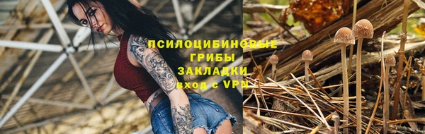 дурь Медногорск