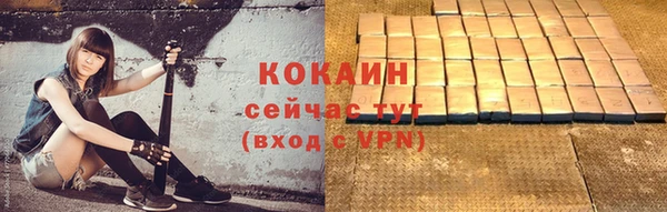 крисы Михайловск