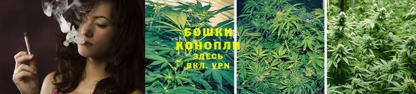 дурь Медногорск