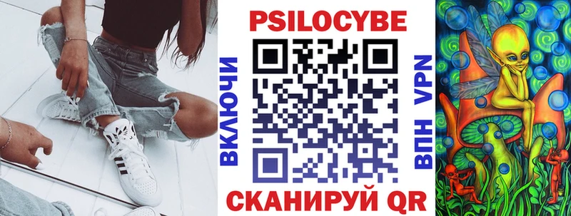 как найти закладки  Зеленоградск  Псилоцибиновые грибы Psilocybe 