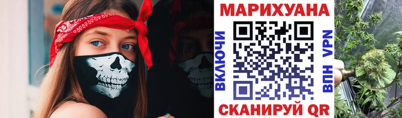 Бошки марихуана марихуана  где найти   Зеленоградск 